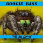 Буги-бас — Чё за дичь (2025)