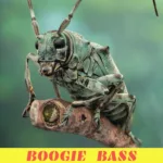 Буги-бас — Соседи-1 (2025)