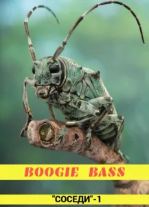 boogie.bass . .2025. .sosedi 1 cover