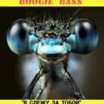 Буги-бас — Я слежу за тобой (2025)