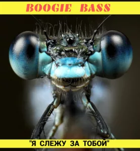 boogie.bass . .2025. .ya .slezhu.za .toboj cover