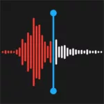 Евгений Хулуев — Dic (2020)