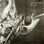 Anton.otvet.-.2026.-.Nasekomoe-cover