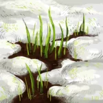 Twenty.Twelves.-.2021.-.Pogoda.v.Sibiri-cover