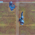 Badma-Handa.-.2004.-.Amar.Mende-cover_2