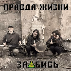 pravda.zhizni. .2026. .zaebis cover